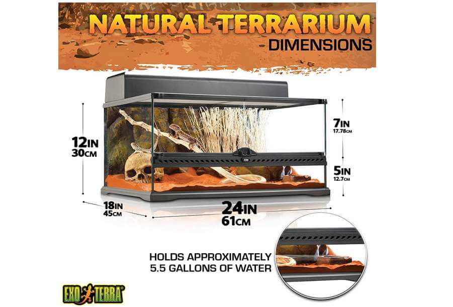 Aquariu.ms Exo Terra Glass Natural Terrarium Kit Giveaway