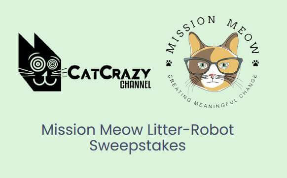 CatCrazy Channel Mission Meow Litter Robot Sweepstakes 2023